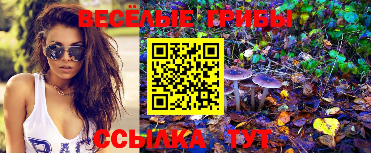 Галлюциногенные грибы GOLDEN TEACHER  Вход с VPN  Галлюциногенные грибы мицелий  Гагарин 